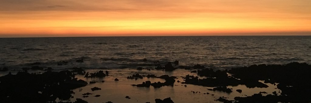 ArielMitnick's profile banner image