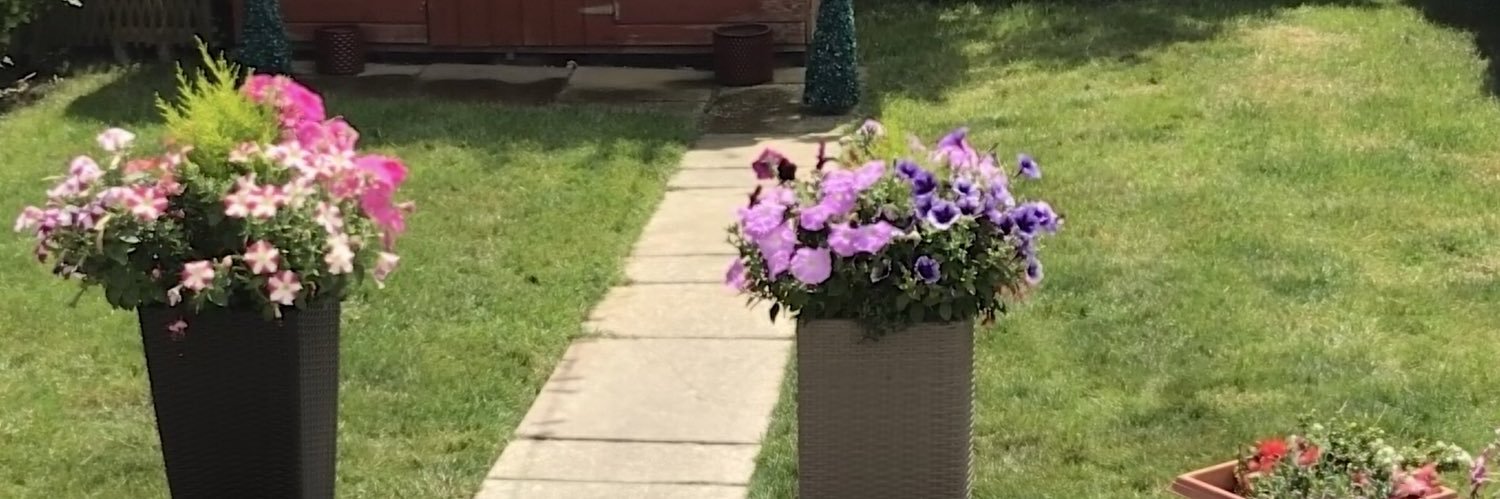 Harry Callaghan banner