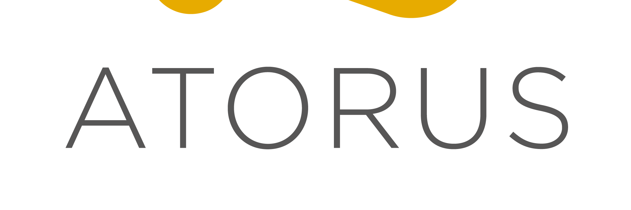 AtorusConsult's profile banner image