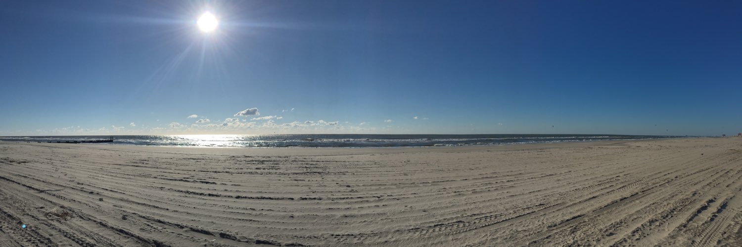 Thomas Pitts MRAeS banner