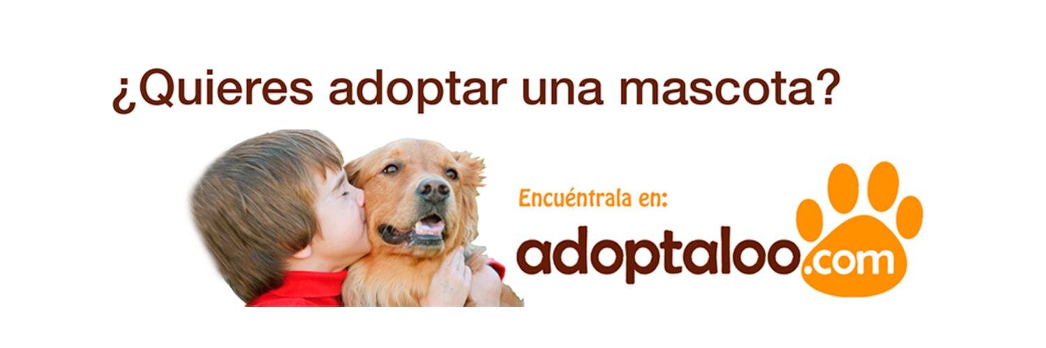 Adoptaloo's profile banner image