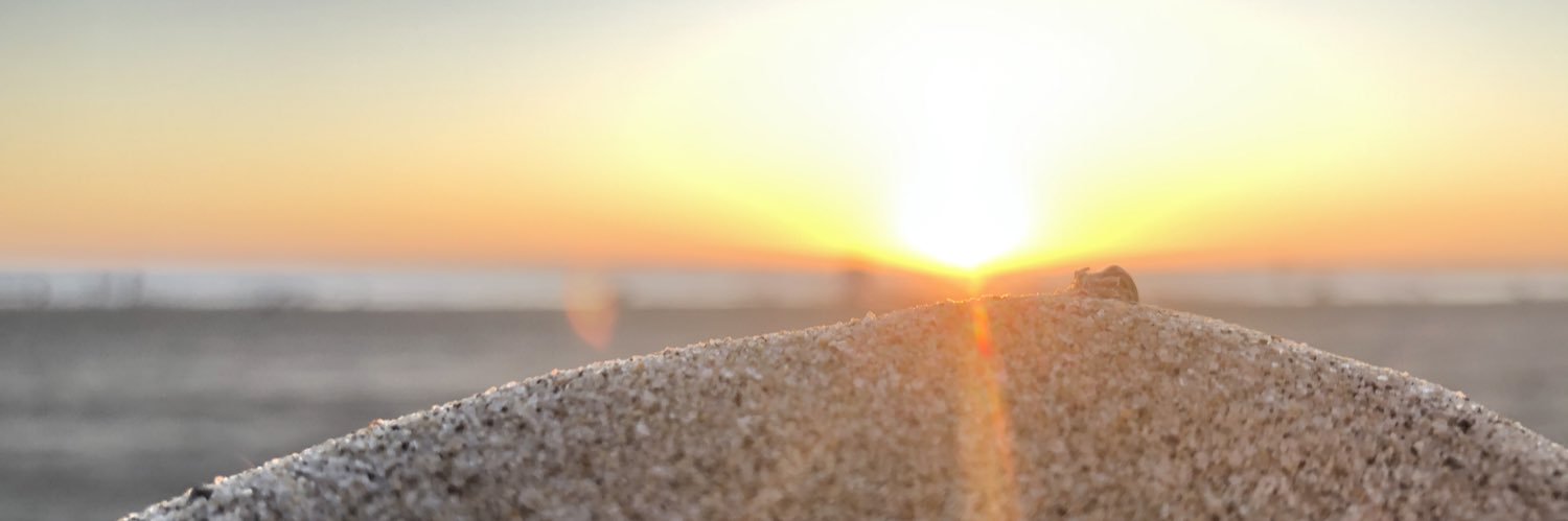 NateTMoreno's profile banner image