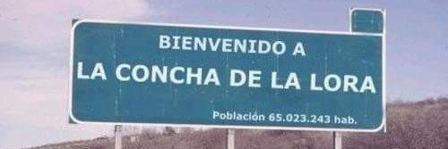 Guille 태권도 banner
