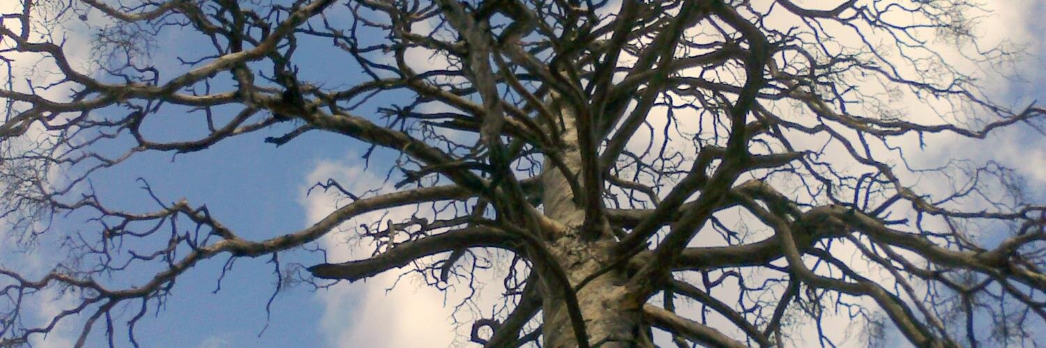 marko štrovs banner