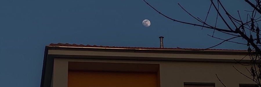 sofcarrilloo's profile banner image