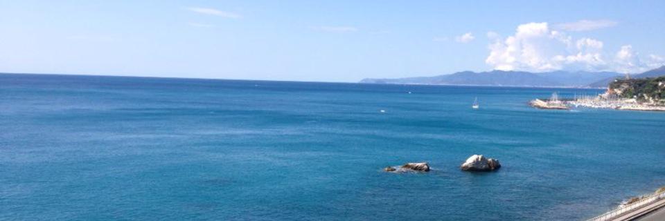 LetiziaConte2's profile banner image