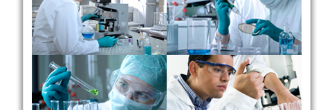 StemCellAmerica's profile banner image