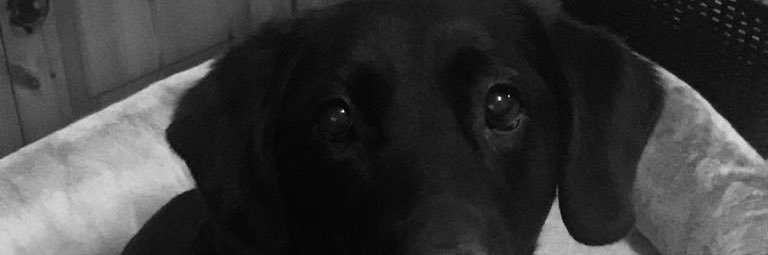 daveadderley's profile banner image