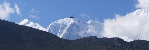 Bhasha Sharma banner