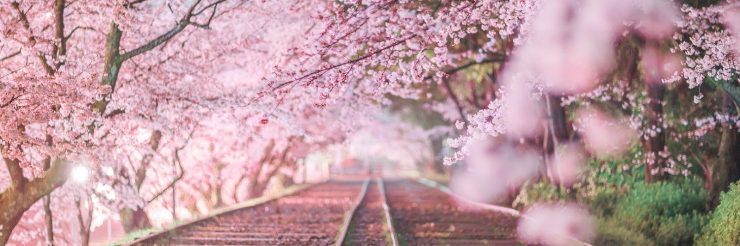 Dennis Martin Herbers 🌸 banner