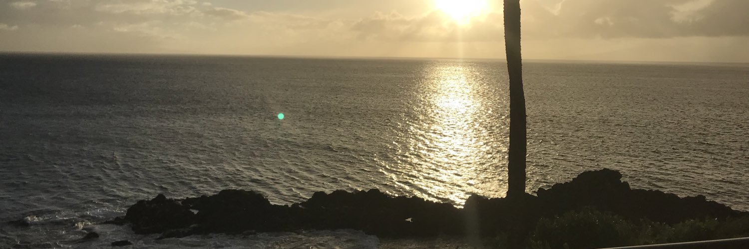 Fade Material banner