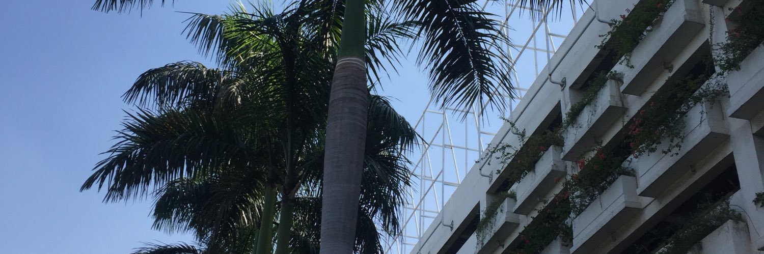 chintyasays's profile banner image