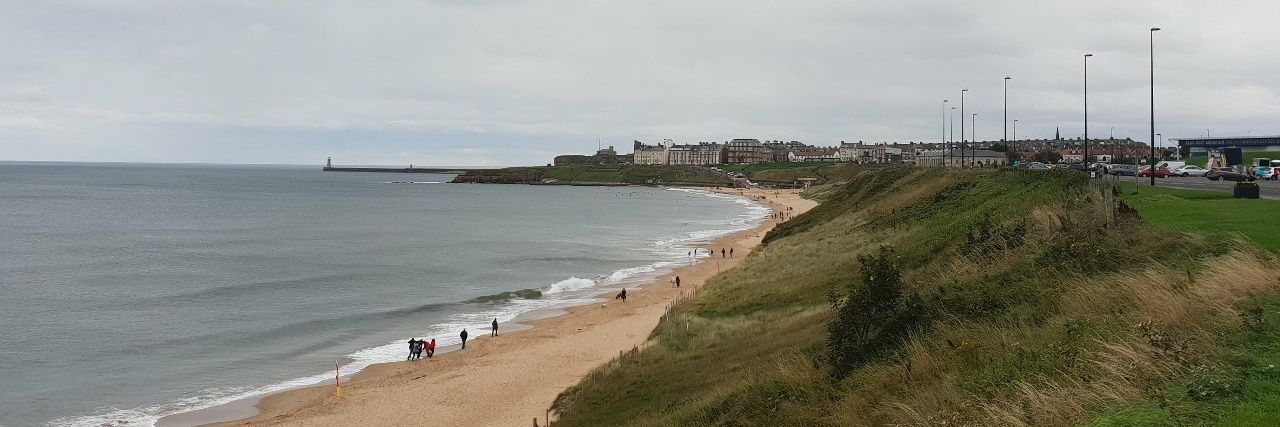 Dr Tommy Bananas banner