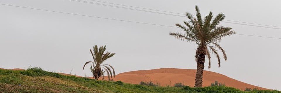 sam_ssf_78's profile banner image