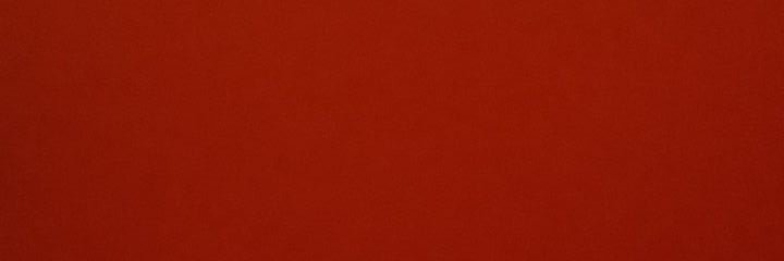 tho55446's profile banner image