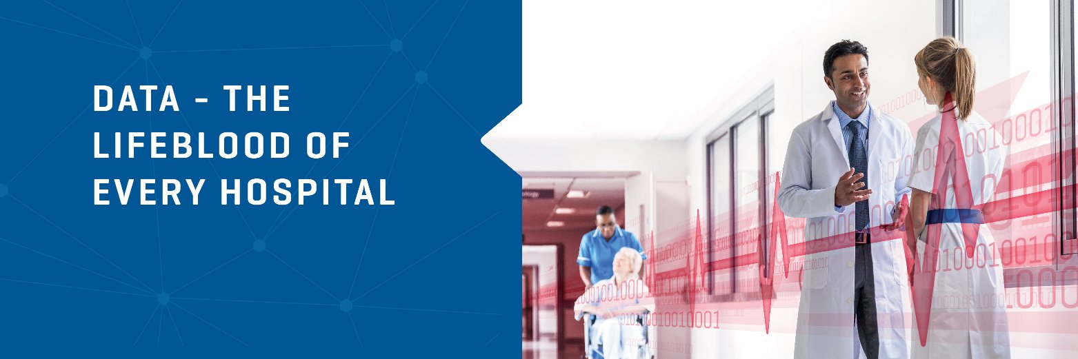 BridgeHead Software banner