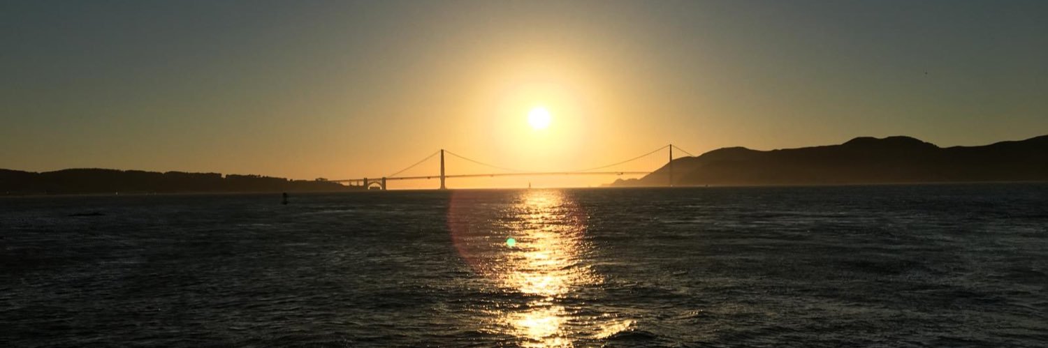 LynneZP17's profile banner image