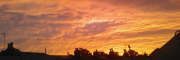 fliddy1 Profile Banner