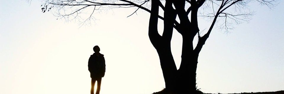 simoverzelloni's profile banner image