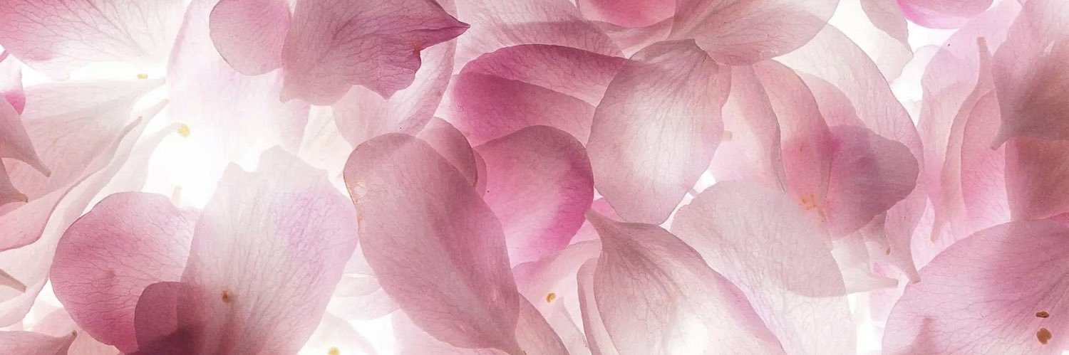 ͏ ✩ banner