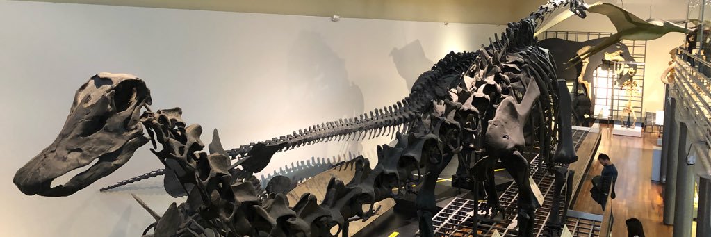 Pilar López García-Gallo banner