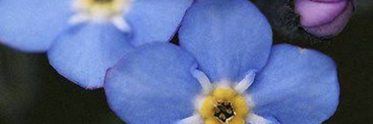 _artandshine_'s profile banner image