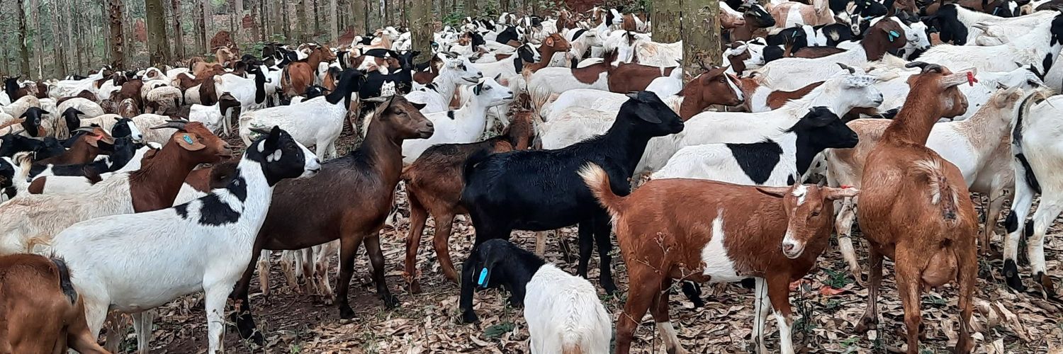 Farmercist banner