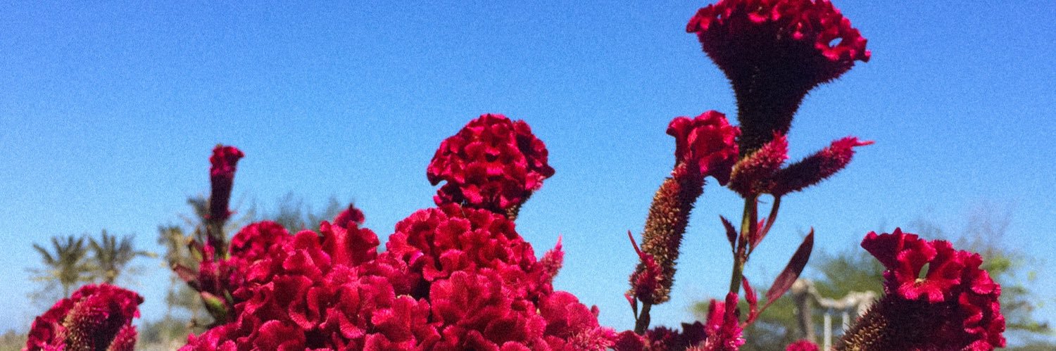 risyaanatalie's profile banner image