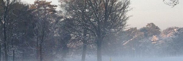 BasDM_Janssen Profile Banner