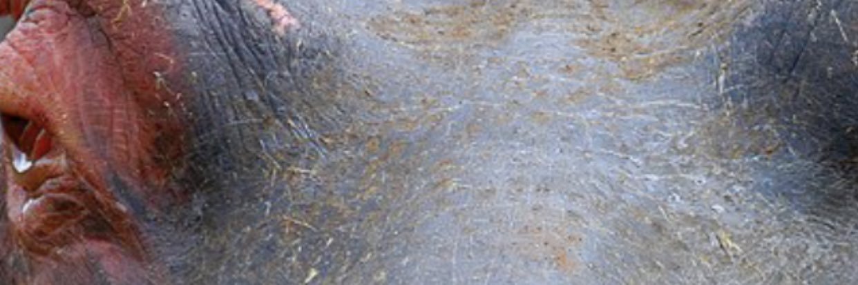 PeterCornford1's profile banner image