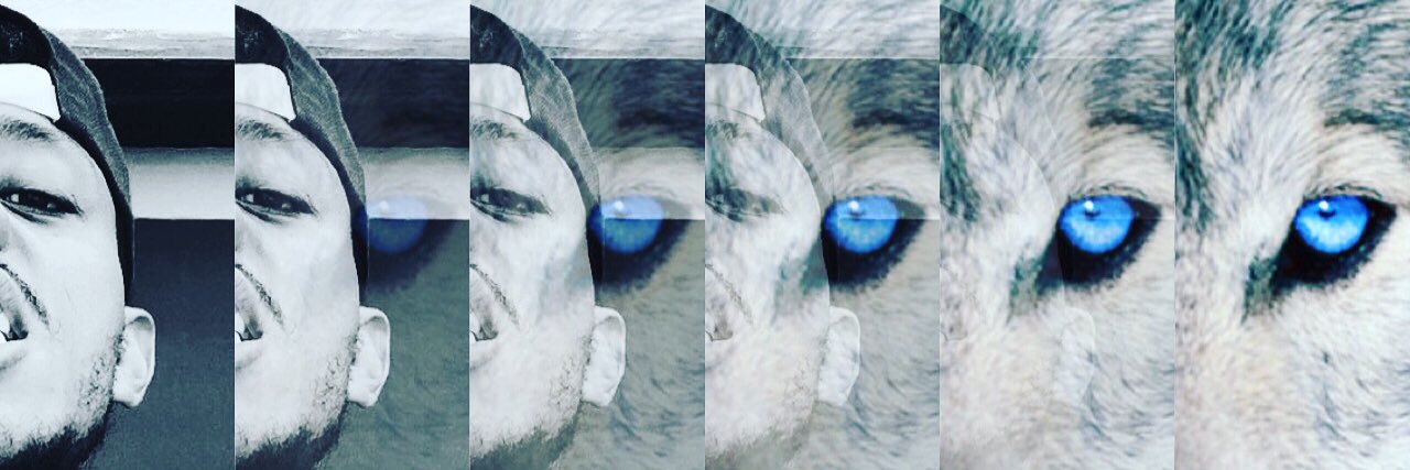 FreemanAmeer's profile banner image