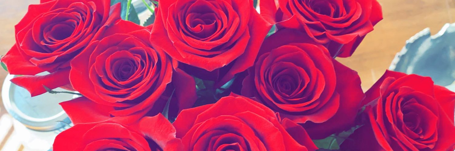 momo_murphy's profile banner image