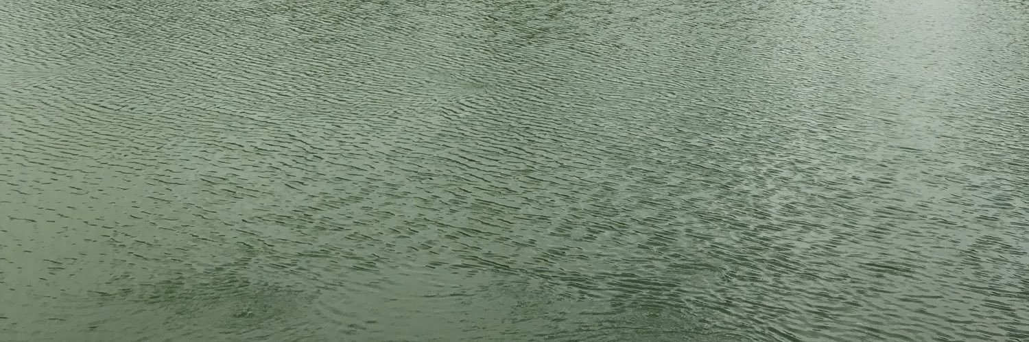 X Files banner