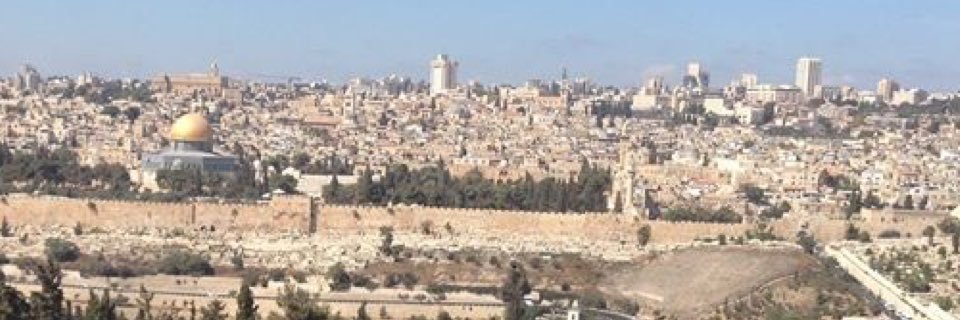 SakerSalouk's profile banner image