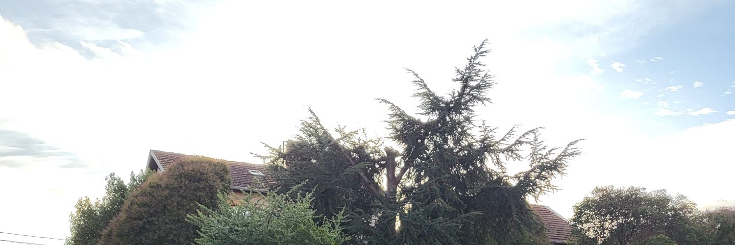 geografille's profile banner image