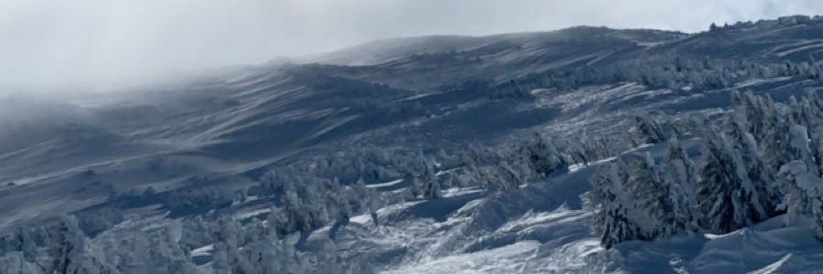 AlexCrosswhite's profile banner image