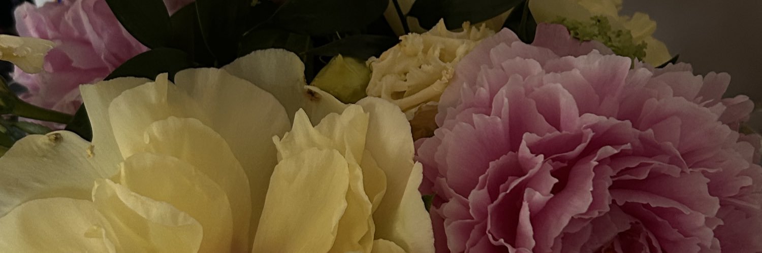 allesoliss's profile banner image