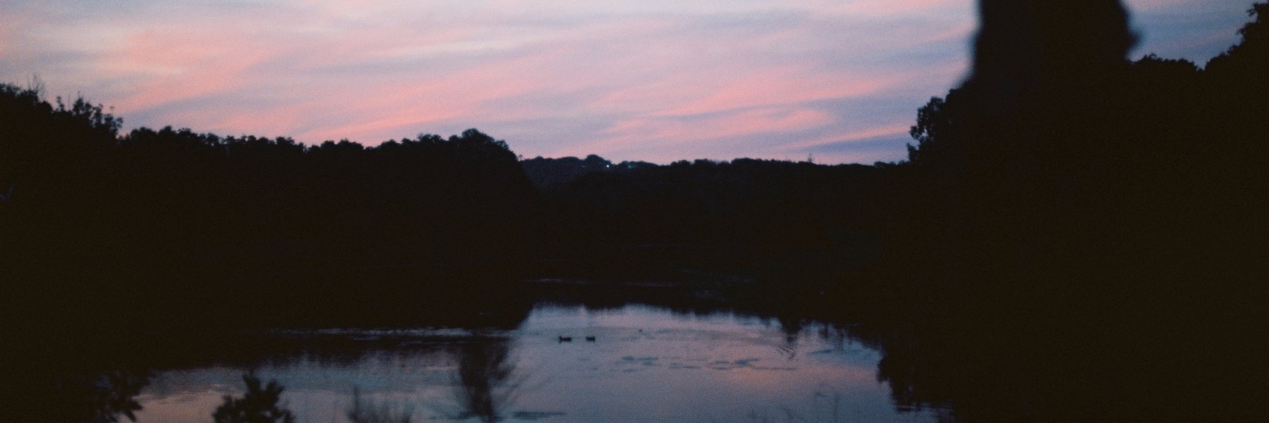 RemDogPunts's profile banner image