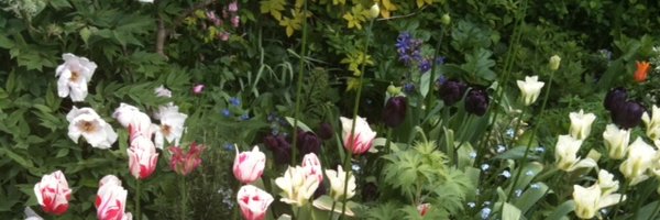 carmitstead Profile Banner