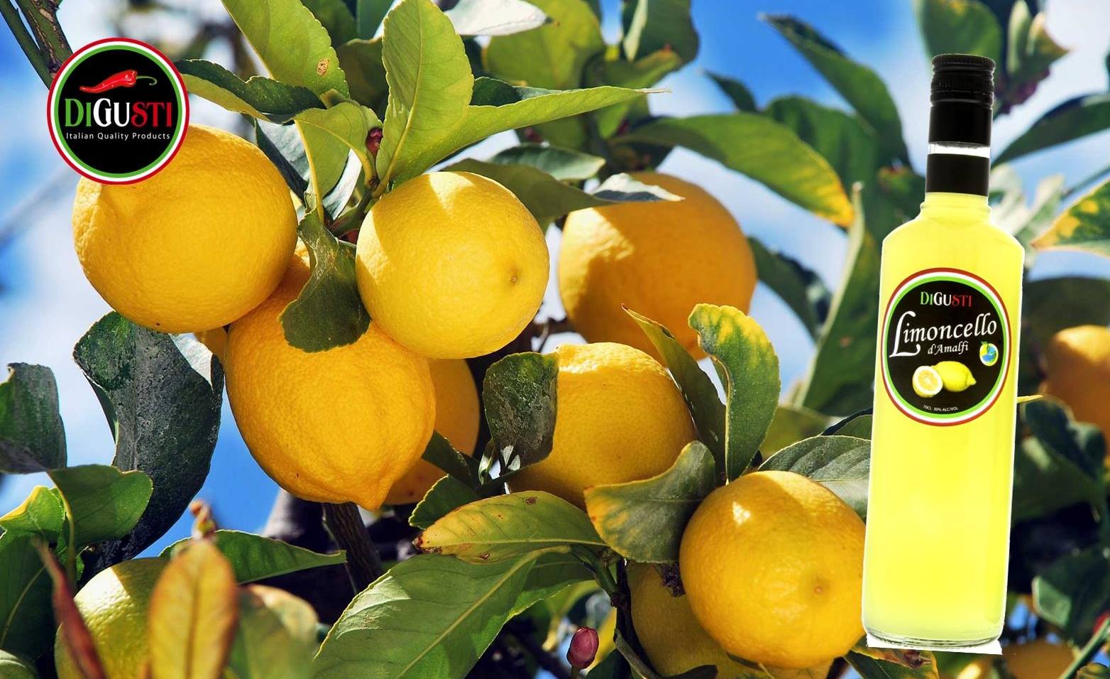 limoncello_nl's profile banner image