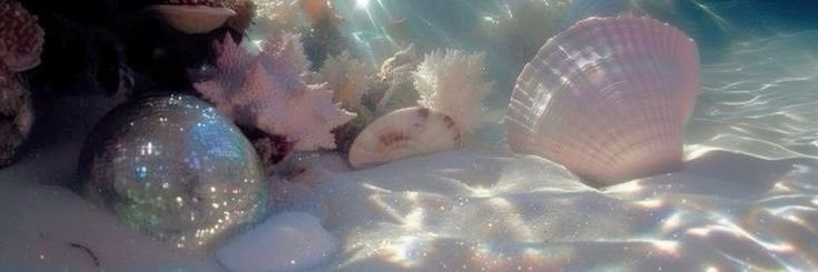 🪷 banner