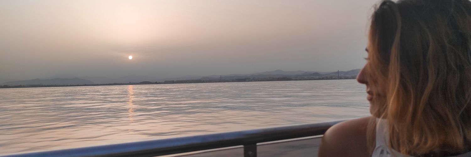 Villalta_ele's profile banner image