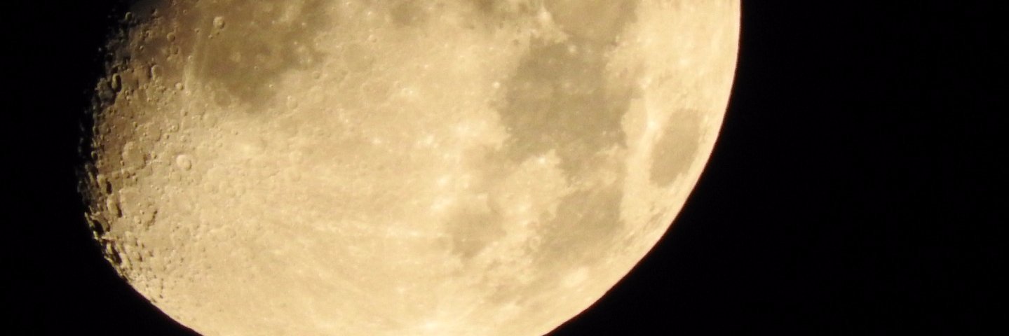 mynochan's profile banner image