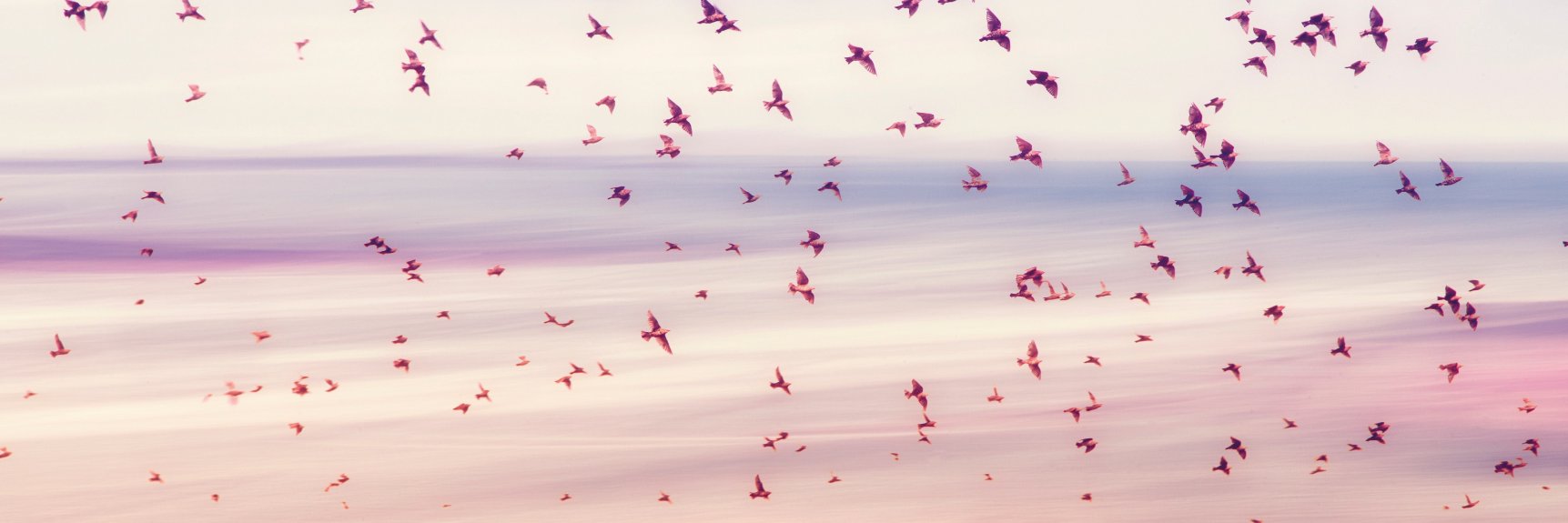 martinpinder's profile banner image