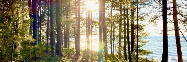 MDiezel Profile Banner