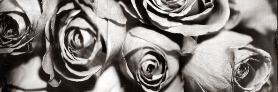 Alastair Cook banner