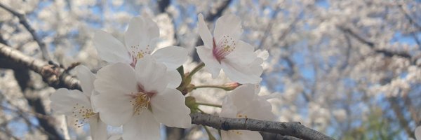 encodory Profile Banner