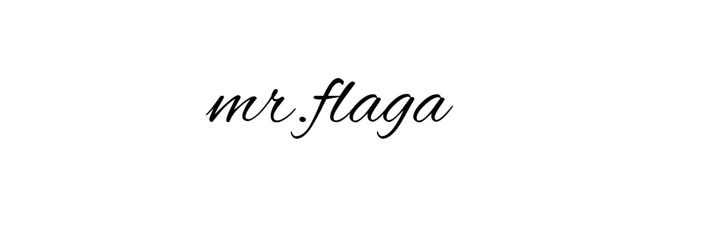 MrFlaga's profile banner image