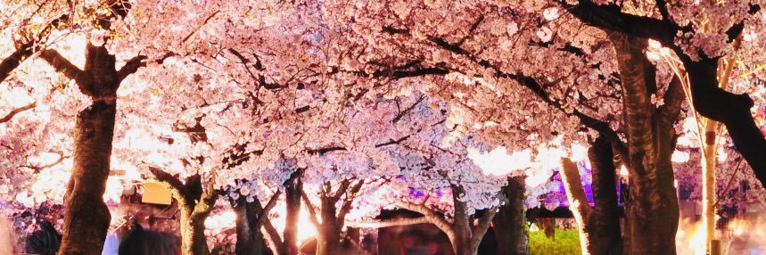ChococoFavorite's profile banner image