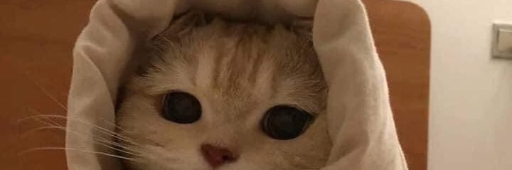 min_mspp's profile banner image